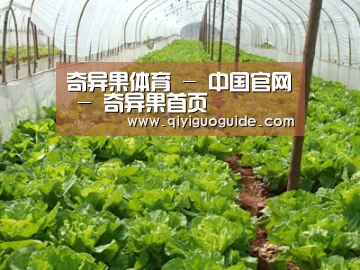 种植基地五