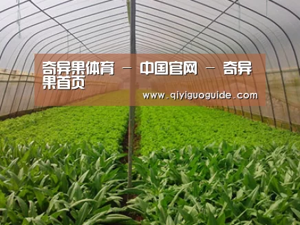 种植基地四